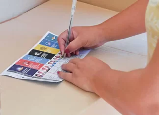 Elecciones legislativas 2025: a partir de qué hora se conocerán los resultados del domingo