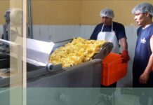 Clausura Fábrica Snack Cracks en Concepción: Empleos en Riesgo