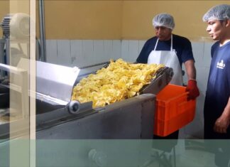 Clausura Fábrica Snack Cracks en Concepción: Empleos en Riesgo