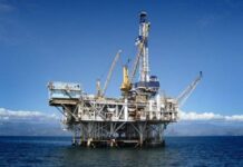 Acciones de Sea Lion caen hasta 10% tras anuncios de Milei