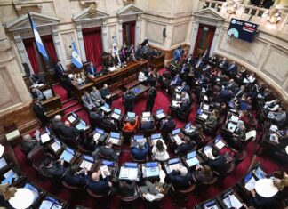 Qué cambia con la nueva ley de biocombustibles: cortes de bioetanol y mezcla obligatoria de biodiésel